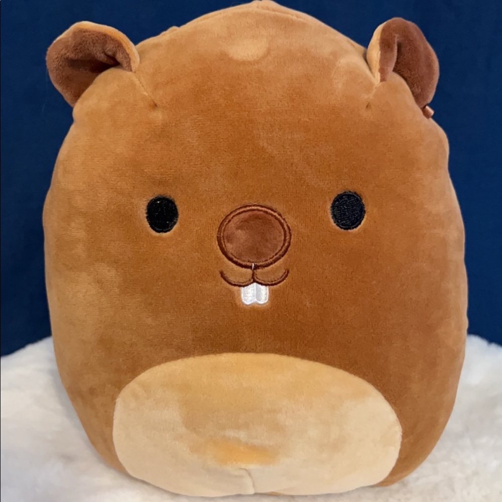 8” Gilbert the groundhog squishmallow